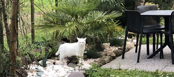 Family Room for 3-4 pers