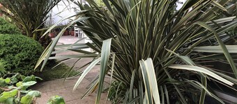 Family Room for 3-4 pers