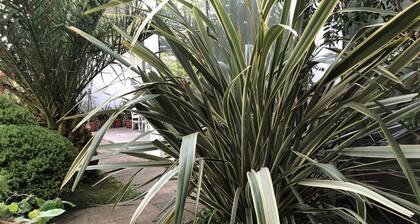 Family Room for 3-4 pers