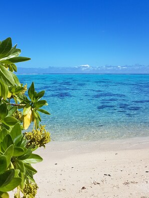 Playa en los alrededores 
