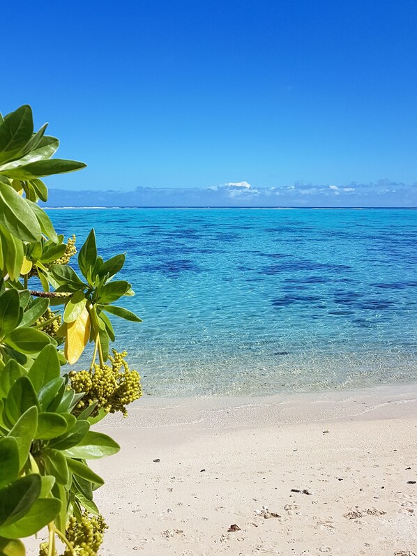 Plage à proximité
