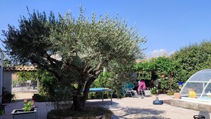 An outdoor patio area with a large olive tree, stone planters, and a yellow tricycle. - New Ad - Charming quiet house, air conditioning, shared pool (Châteaurenard)