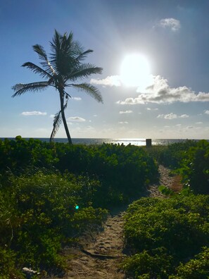 Chaises longues, serviettes de plage