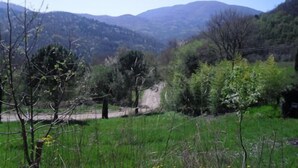 A mountainous landscape with a dirt path leading through a green field. - Tuscan holiday home near the sea between Siena, Florence and Pisa (Montieri)