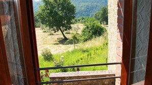 A balcony with a view of a green landscape, a stone wall, and a decorative plate. - Tuscan holiday home near the sea between Siena, Florence and Pisa (Montieri)