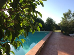 Alberca techada 