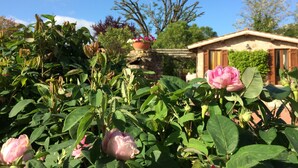 Un jardin où s’épanouissent des rosiers, avec un bâtiment rustique en arrière-plan.