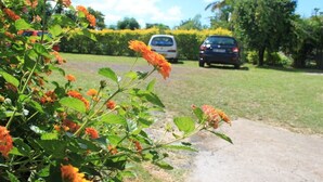A pathway leading to a parking area with cars, surrounded by greenery and flowering plants. - Verval T1 floor "Furnished with Tourime 3 *** (Unknown)