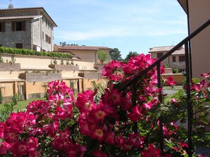 Property grounds - Apartment in terraced house with terrace and panoramic view, 2 rooms, 4 pers. (Pomaia)