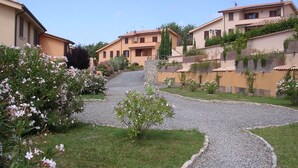 Zona residencial con casas, un camino de grava y plantas con flores.