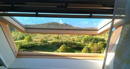 La passerelle des Pyrénées