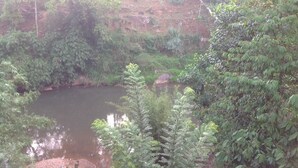 A natural landscape with a pond surrounded by dense greenery and trees. - Canalside Villa & Guest House (Ginigathena)