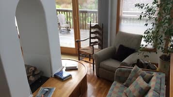 TV, DVD player, video library