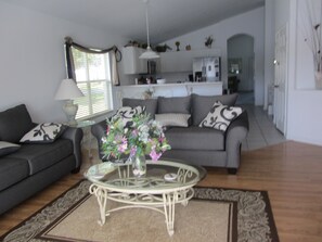 Televisio, DVD-soitin, kirjoja, videokirjasto