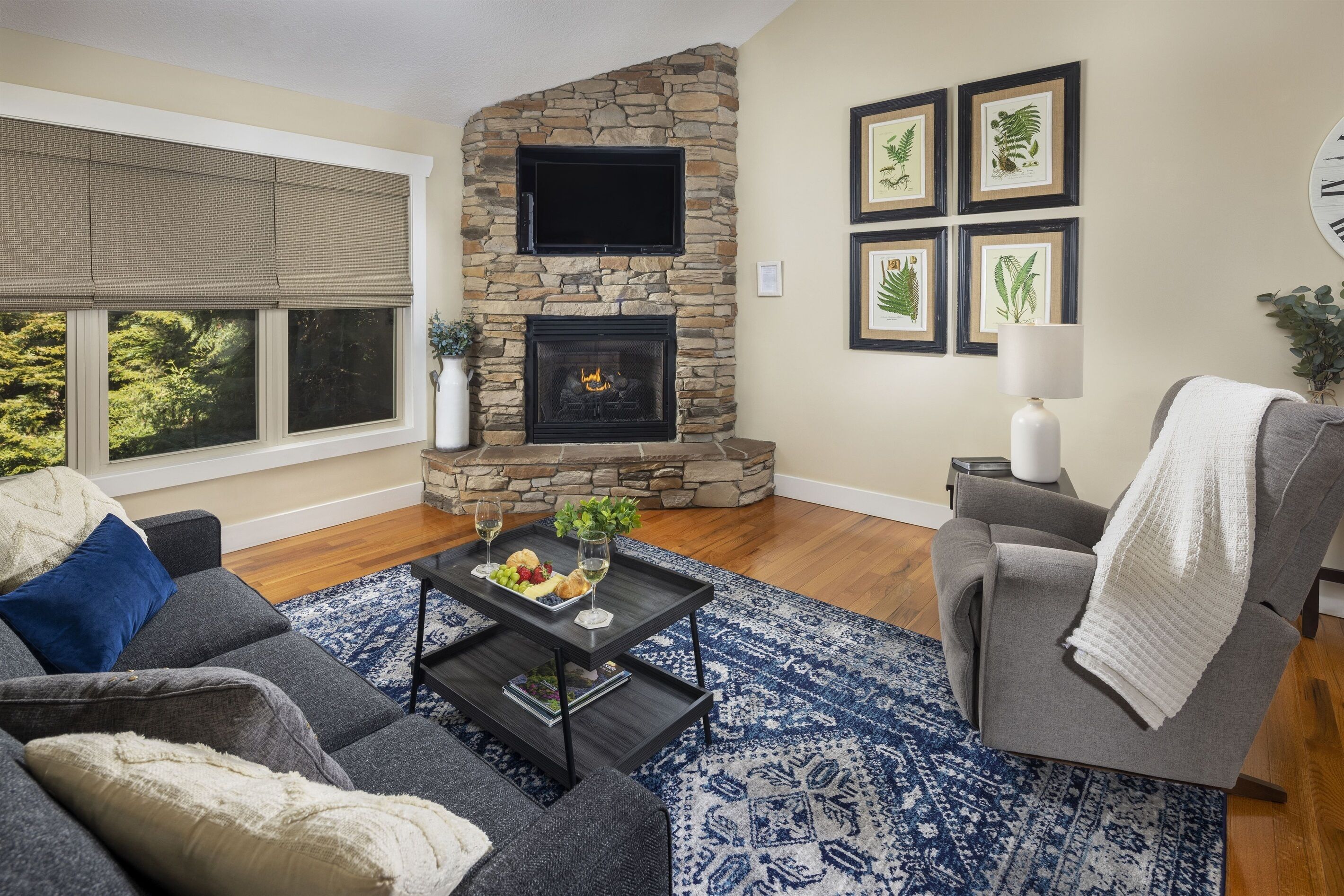 Smart TV, fireplace, books