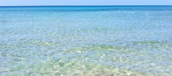 'La Casetta di Viola' charming and original little house a few kilometers from the sea.