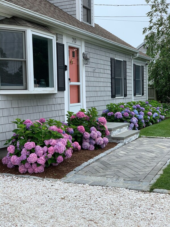 A house with a number 70 sign, a pink door, and a garden with hydrangea flowers.