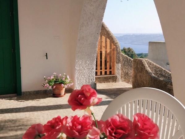 A balcony with a view of the sea, a potted plant, and a wooden door.