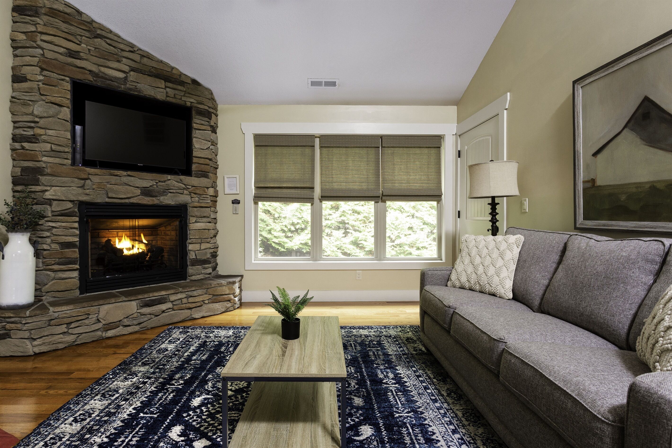 智能电视、壁炉