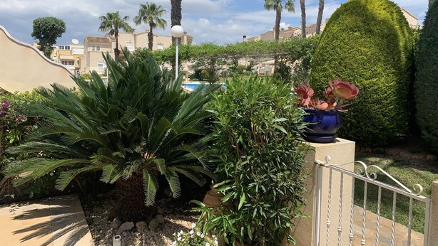 Un espace extérieur aménagé avec des palmiers, une piscine et un jardin bien entretenu.