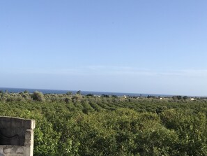 Nicht klassifiziertes Bild, 5 von 14, Schaltfläche