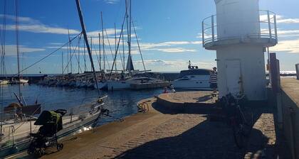 Bilderbuch-Ferienhaus BullerbĂŒ in SeenĂ€he und auf Wunsch mit Ruderboot