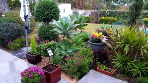 A garden with various potted plants and flowers, a small tree, and a white building in the background. - Luxury detached villa with tropical garden and large private pool. Fully walled (Carvoeiro)