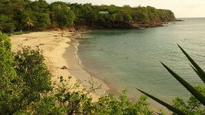 A beach with clear waters, sandy shore, and dense greenery. - Villa l'Amazonia 5 *, luxury villa rental in Deshaies in Guadeloupe: (Deshaies)
