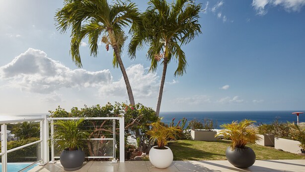 A terrace with a pool, palm trees, and a view of the ocean. - Villa l'Amazonia 5 *, luxury villa rental in Deshaies in Guadeloupe: (Deshaies)