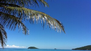 Une plage avec une eau d’un bleu limpide, un rivage sablonneux et des palmiers.