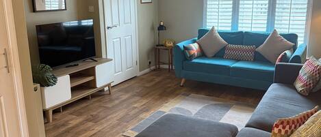 Smart TV, DVD player, books, video library