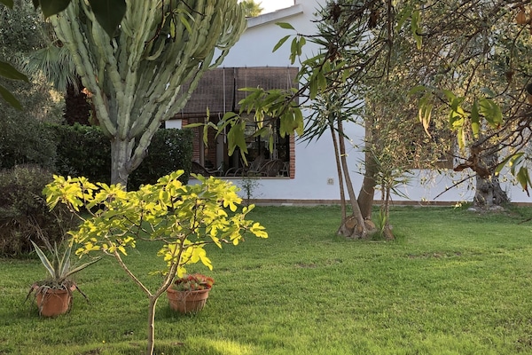 Parco della struttura