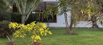 Appartement dans une villa de style méditerranéen, distance de la mer mt. 400