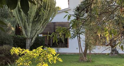Appartement dans une villa de style méditerranéen, distance de la mer mt. 400