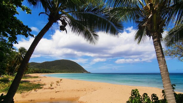 A beach with clear turquoise water, sandy shore, and lush greenery. - Maison Forban - Villa Ti-Polo (Deshaies)