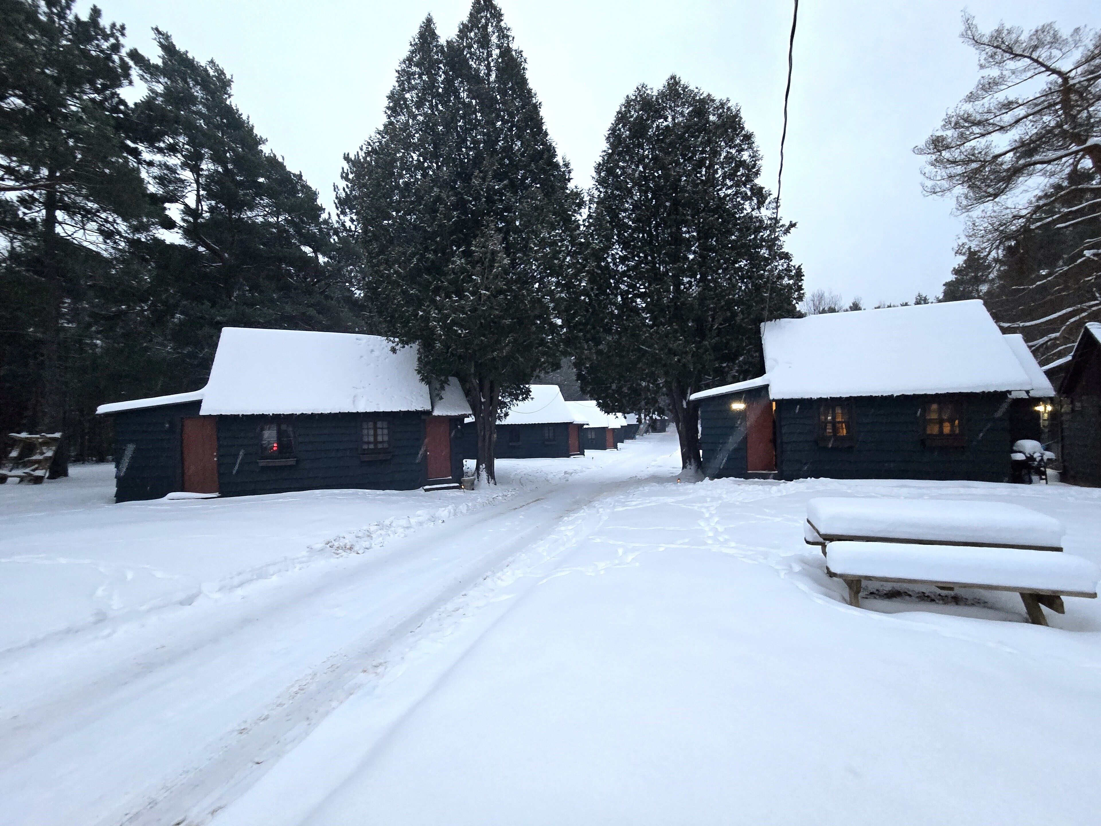 Un albergue cubierto de nieve con cabañas de madera, un banco de madera y un sendero nevado.