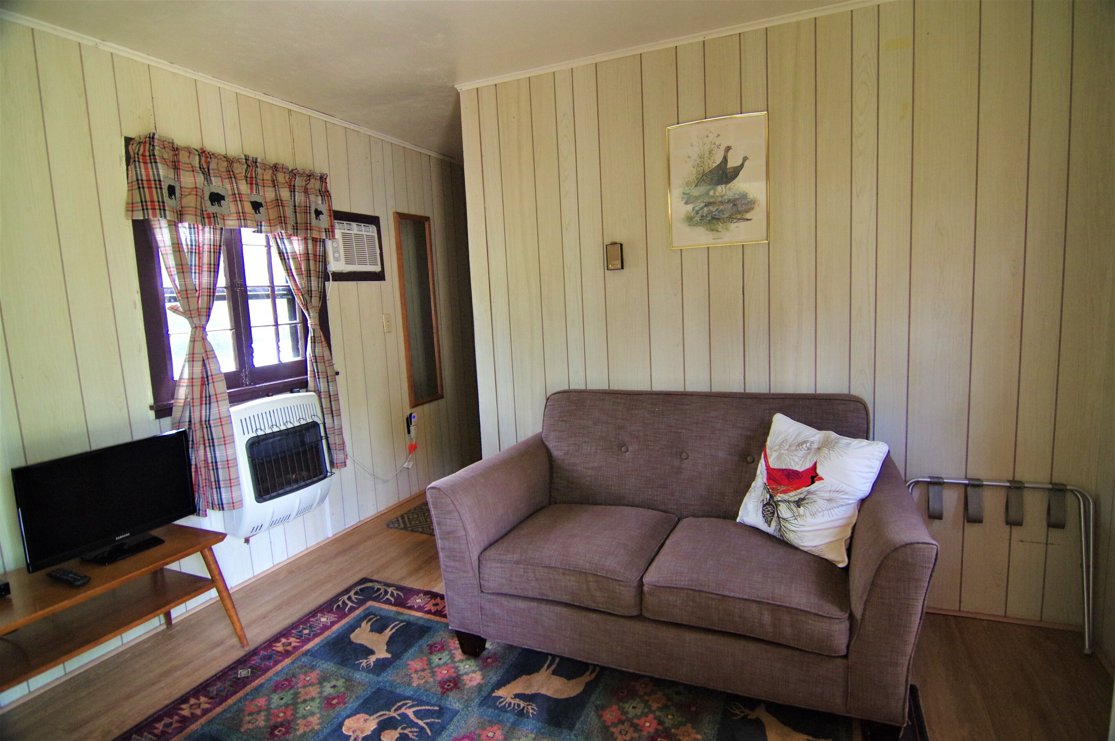 Una sala de estar con un sofá, un televisor sobre un mueble bajo, una ventana con cortinas y un radiador.