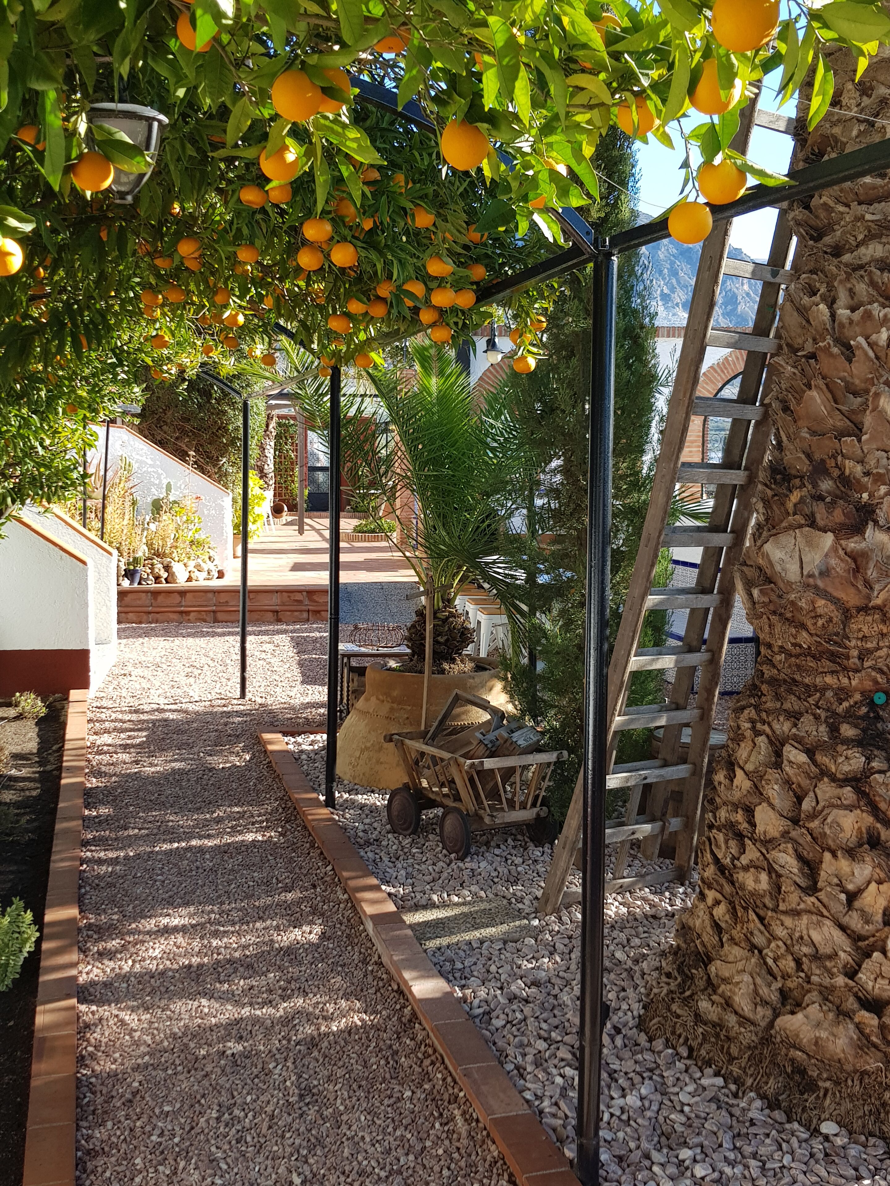 A garden with a gravel path, a wooden wheelbarrow, a stone wall, and a ladder leaning against it.
