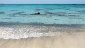 A beach with clear turquoise water and a sandy shore.