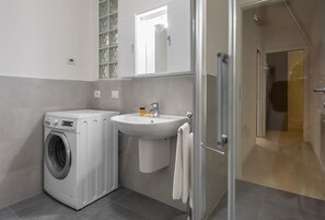 Shower, hair dryer, bidet, towels