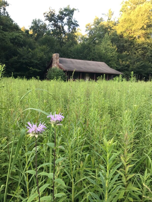 Situated in a lush field, this cabin offers a secluded retreat surrounded by tall grass and wildflowers.