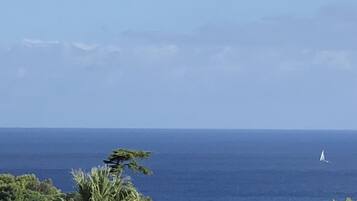 Beach nearby, sun loungers