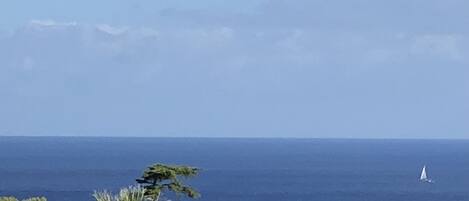 Playa en los alrededores y camastros