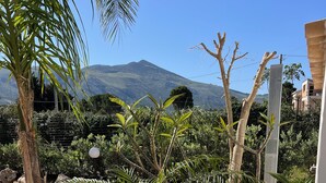 A landscaped garden with palm trees, a decorative stone fountain, and a view of a mountain in the background.