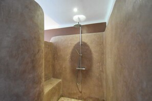 Shower, hair dryer - House 7 persons  with large pool in corbieres area (Talairan)