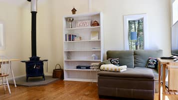 Fireplace, DVD player, video library