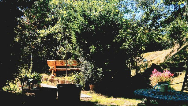 A garden with a wooden bench, a table with a vase of flowers, and various potted plants. - Curr. M.Flair, quiet location, grGarten, fenced.2km, directly to the forest / meadow, gr. Lake (Blankenheim-Reetz)