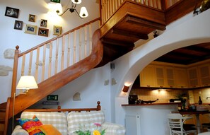 Televisio, takka, DVD-soitin, kirjoja