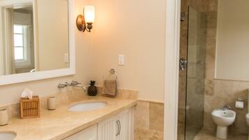 Bathtub, hair dryer, bidet, towels