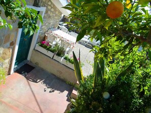 A patio area with a table and chairs, surrounded by lush greenery and a fruit tree.